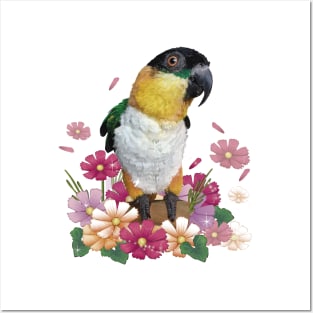 Caique Posters and Art